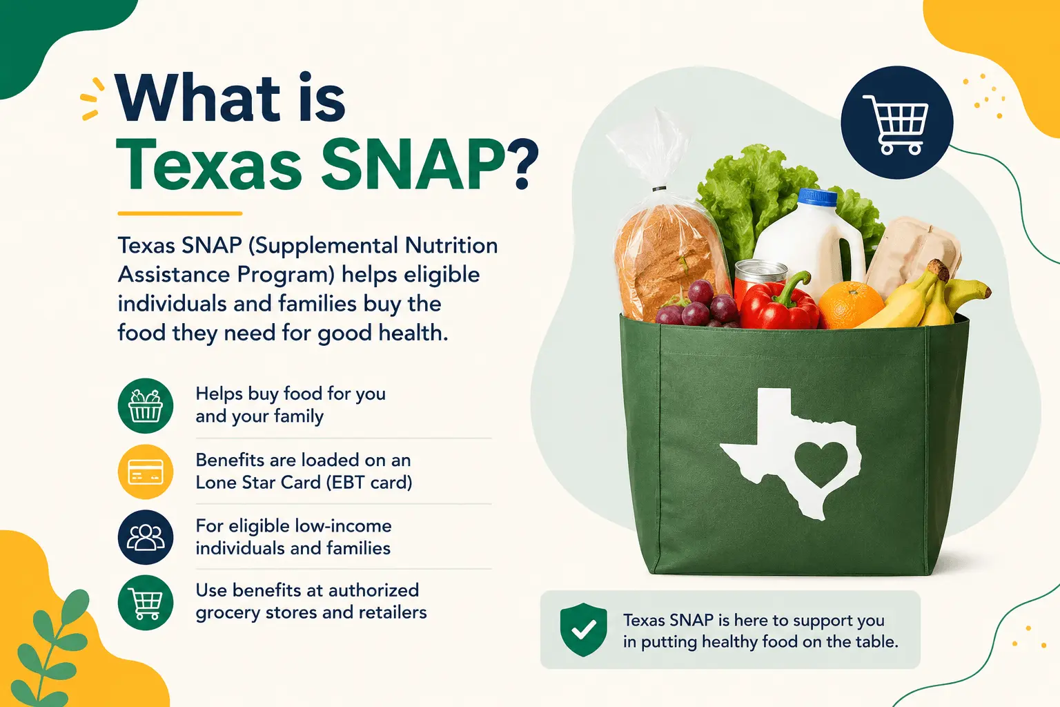 What-is-Texas-SNAP